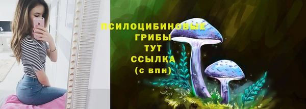 мескалин Алексеевка