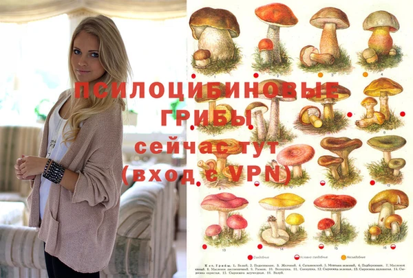 прущие крисы Алексин